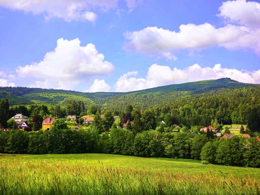 Villa Louisental - erstklassige Gruppenunterkunft in Le Hohwald im Elsass - Familientreffen, Wochenende unter Freunden, Kurse und Seminare